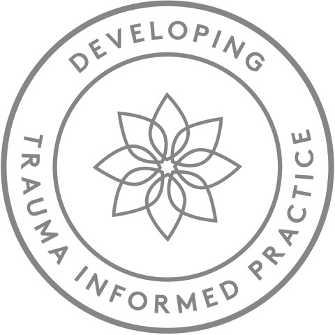 Developing Trauma Informed Practice - Silver